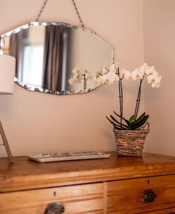 Beautiful & Spacious Retreat In Winchester Eksteriør billede